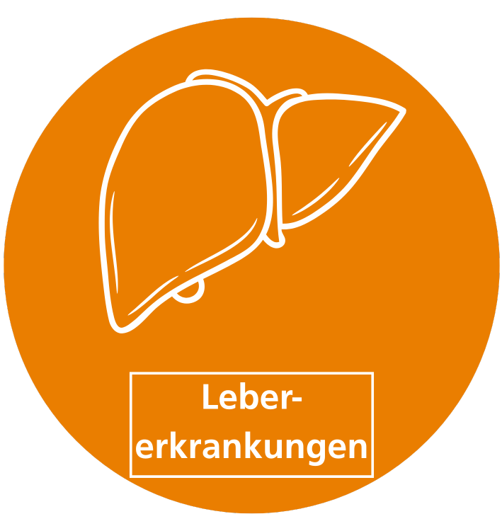 Icon Lebererkrankungen
