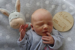 Malou Gröger aus Sondershausen, geboren am 21.07.2026 mit 2540 g und 47 cm. Eltern: Jacgueline und Manuel Gröger. Foto: Station/privat