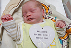 Am 13.09.2026 ist Charlie aus Sondershausen geboren, mit 2900 g und 49 cm. Eltern: Sabrina und Tim Foto: Station/privat