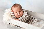 Theo aus Sternberg, geb. am 30.12.2024 um 08.34 Uhr, 51 cm, 3435 g. Foto: Bensing-Brandt