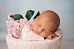 Lena Hammer aus Teterow, geb. am 22.04.25 um 14.15 Uhr, 52 cm, 3545g. Foto: Johanna Bast