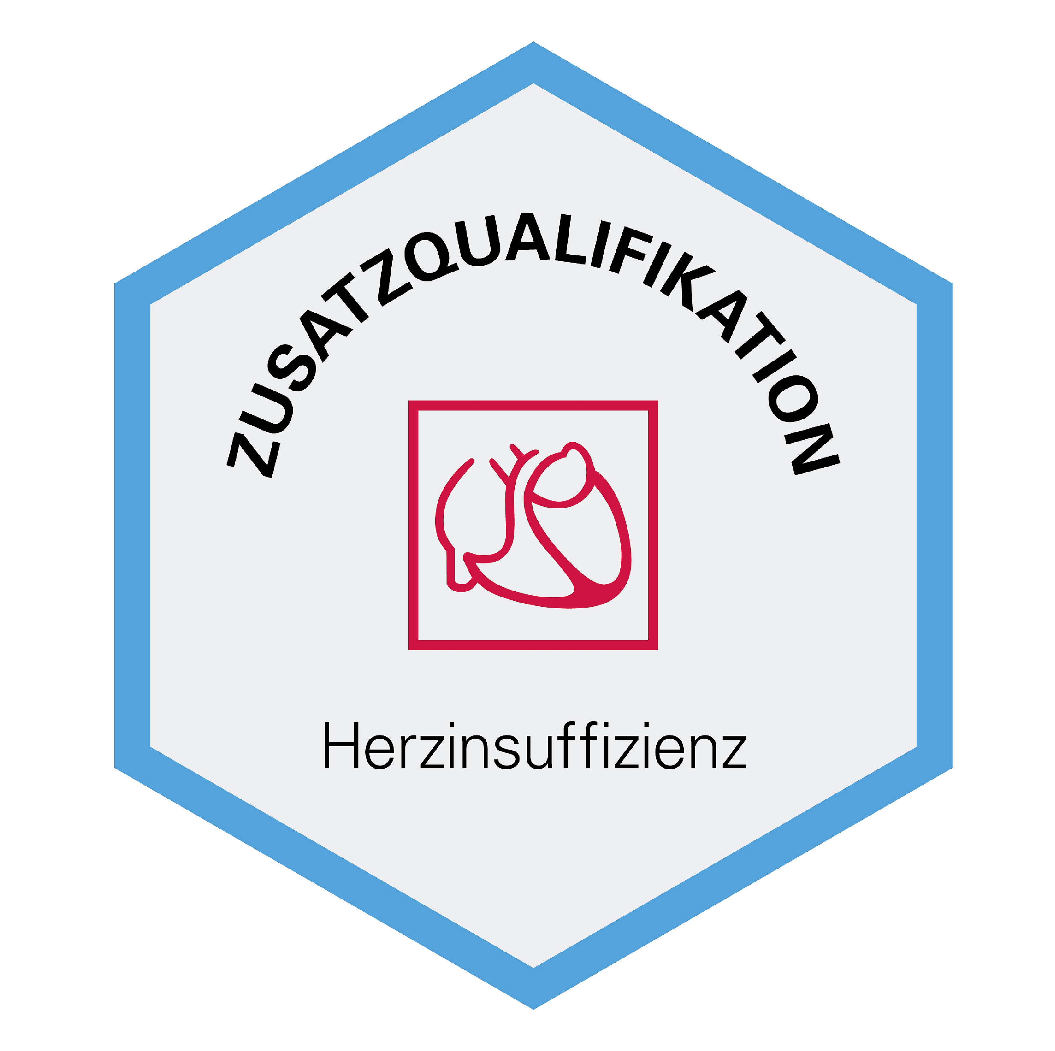 Zusatzqualifikation
Dr. med. Gunnar Merz  dgk hi