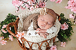 Eva Wilk aus Lalendorf, geb. am 07.04.2025 um 19.12 Uhr, 50 cm, 3560 g. Foto: Nicole Voss