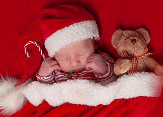 Henry Foto: Mandy Melchior