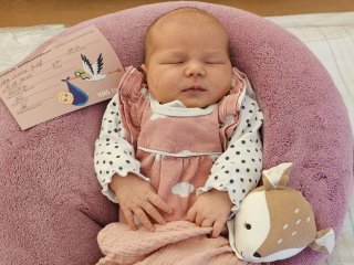 Ava Gräfe aus Heringen, geboren am 19.08.2025 um 8:40 Uhr mit 40360 g und 52 cm. Eltern: Melissa Gräfe und Steve Gräfe Foto: Station/privat